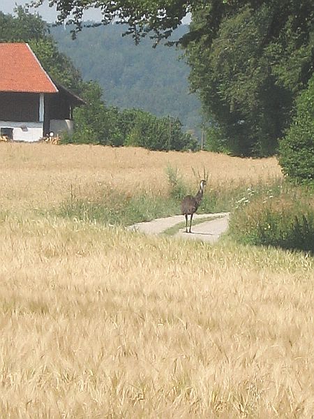 Zum Beenden - Bild anklicken