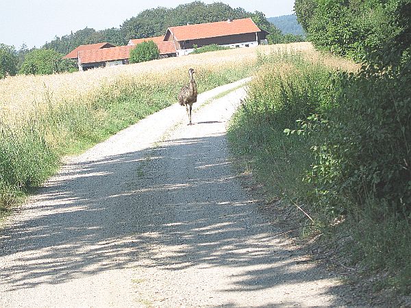 Zum Beenden - Bild anklicken