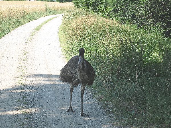 Zum Beenden - Bild anklicken