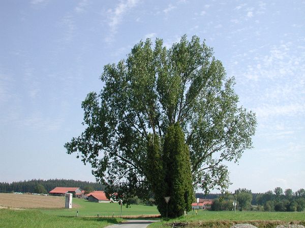 Zum Beenden - Bild anklicken