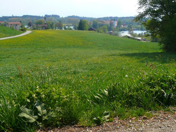 Zum Beenden - Bild anklicken