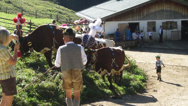 Zum Beenden - Bild anklicken