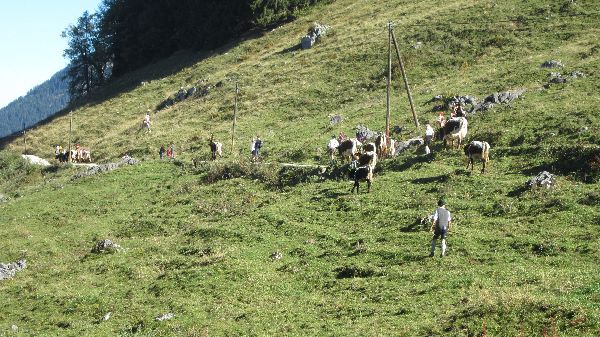 Zum Beenden - Bild anklicken