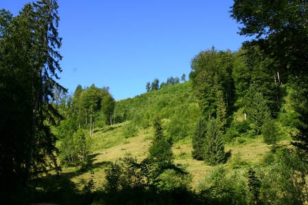 Zum Beenden - Bild anklicken