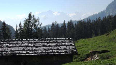 Zum Beenden - Bild anklicken