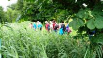 2018-06-08_Kolping-Wanderung_KF_Aschau_Baernsee (16)